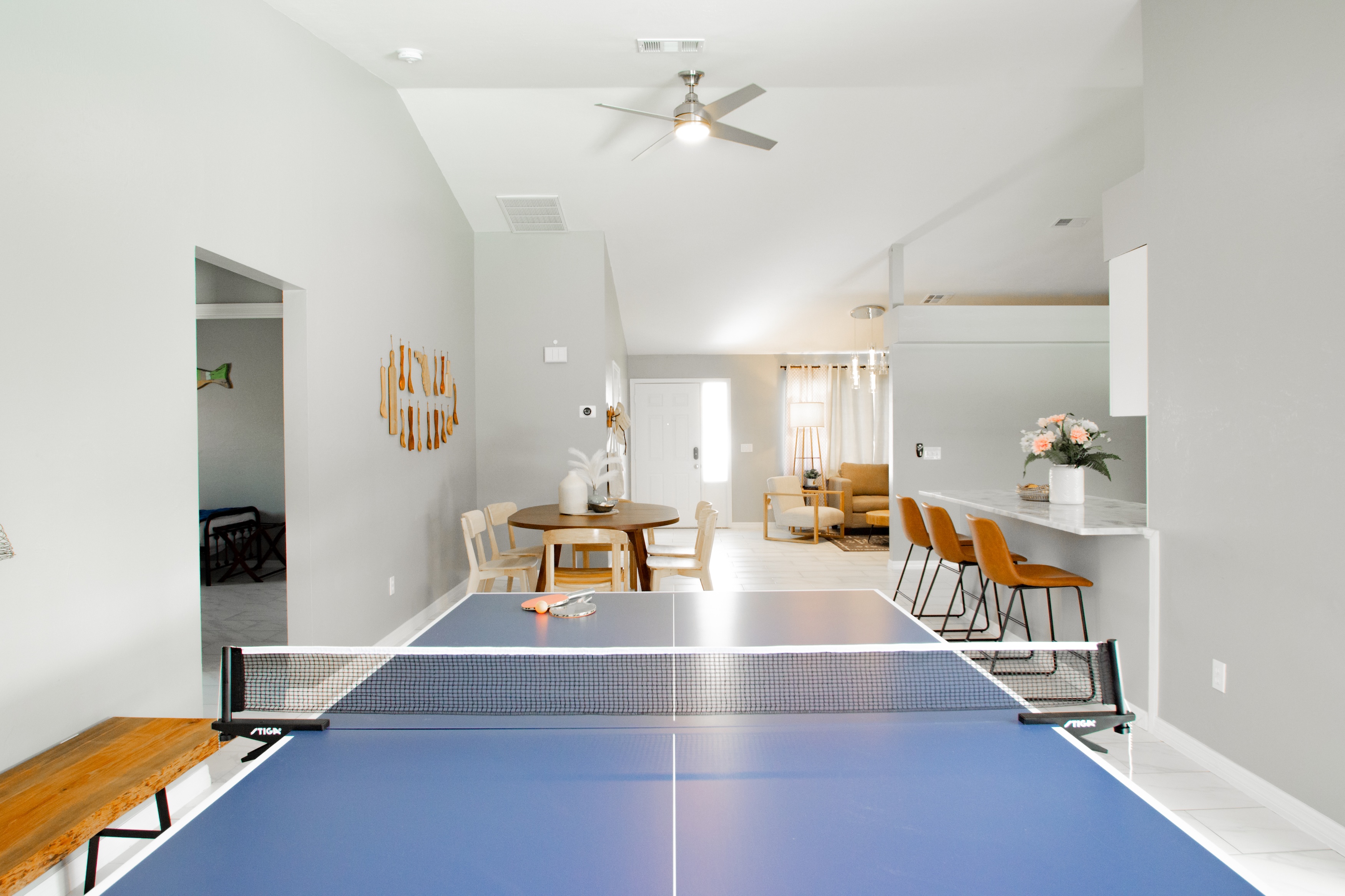Villa Lucia ping pong table